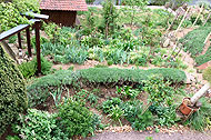 tl_files/garten/gaerten 2022/trommer-lit.jpg